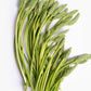 Trigo verde fresco (Ornithogalum Pyrenaicum) 200 g