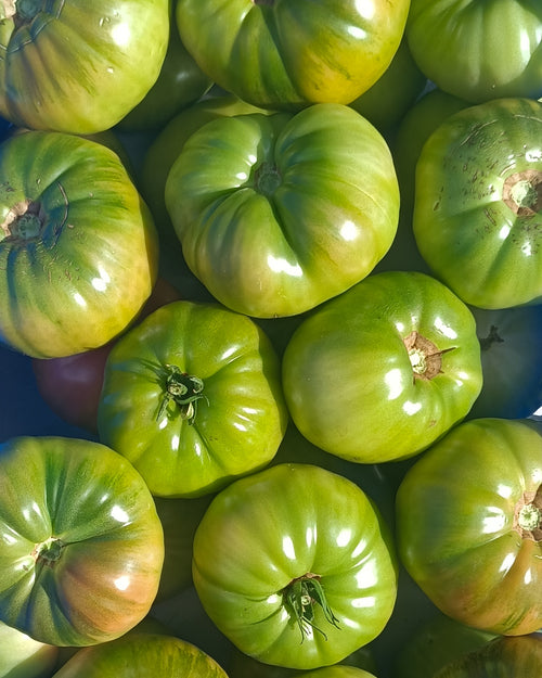 Tomate rosa de Zamora 2 Kg