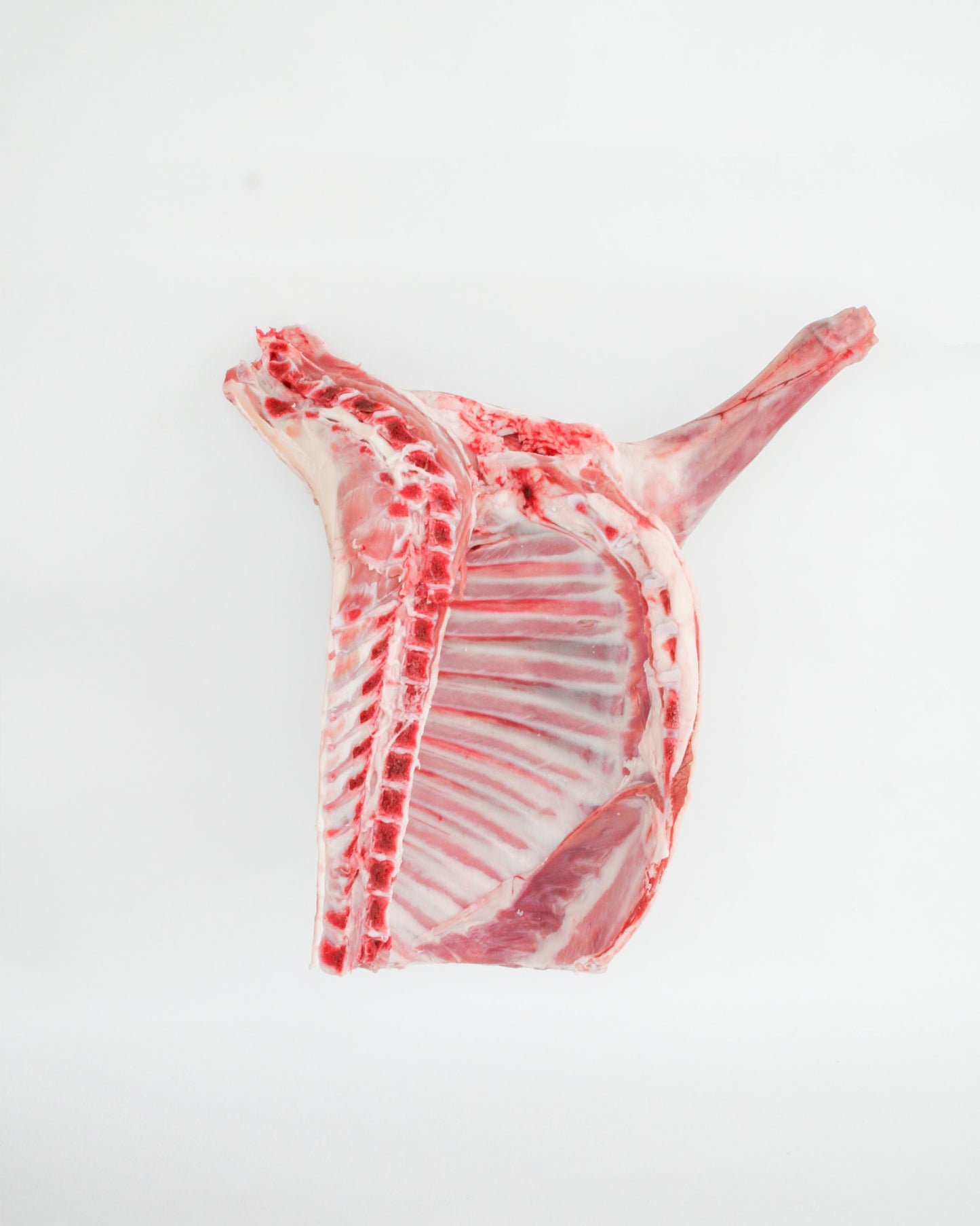 Cordero Lechal fresco cuarto delantero