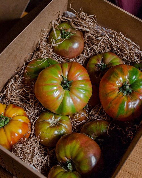 Tomate Roostiq Nº 38 2 Kg