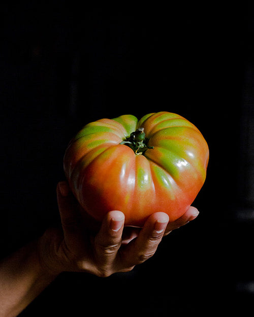 Tomate Roostiq Nº 38 2 Kg