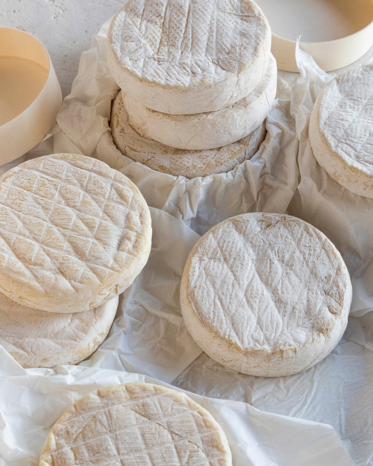 quesos tiernos leche de oveja