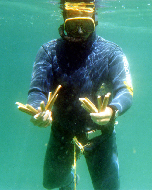 buceador navajas islas cíes