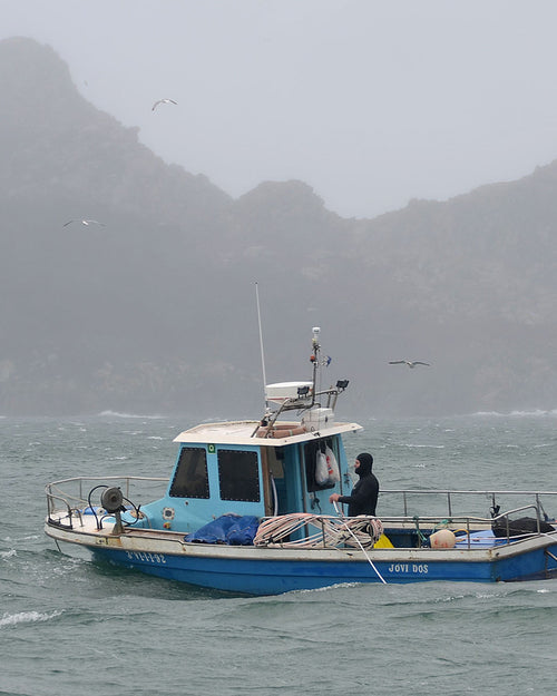 Navajas de las Islas Cies en aceite de oliva 115 g