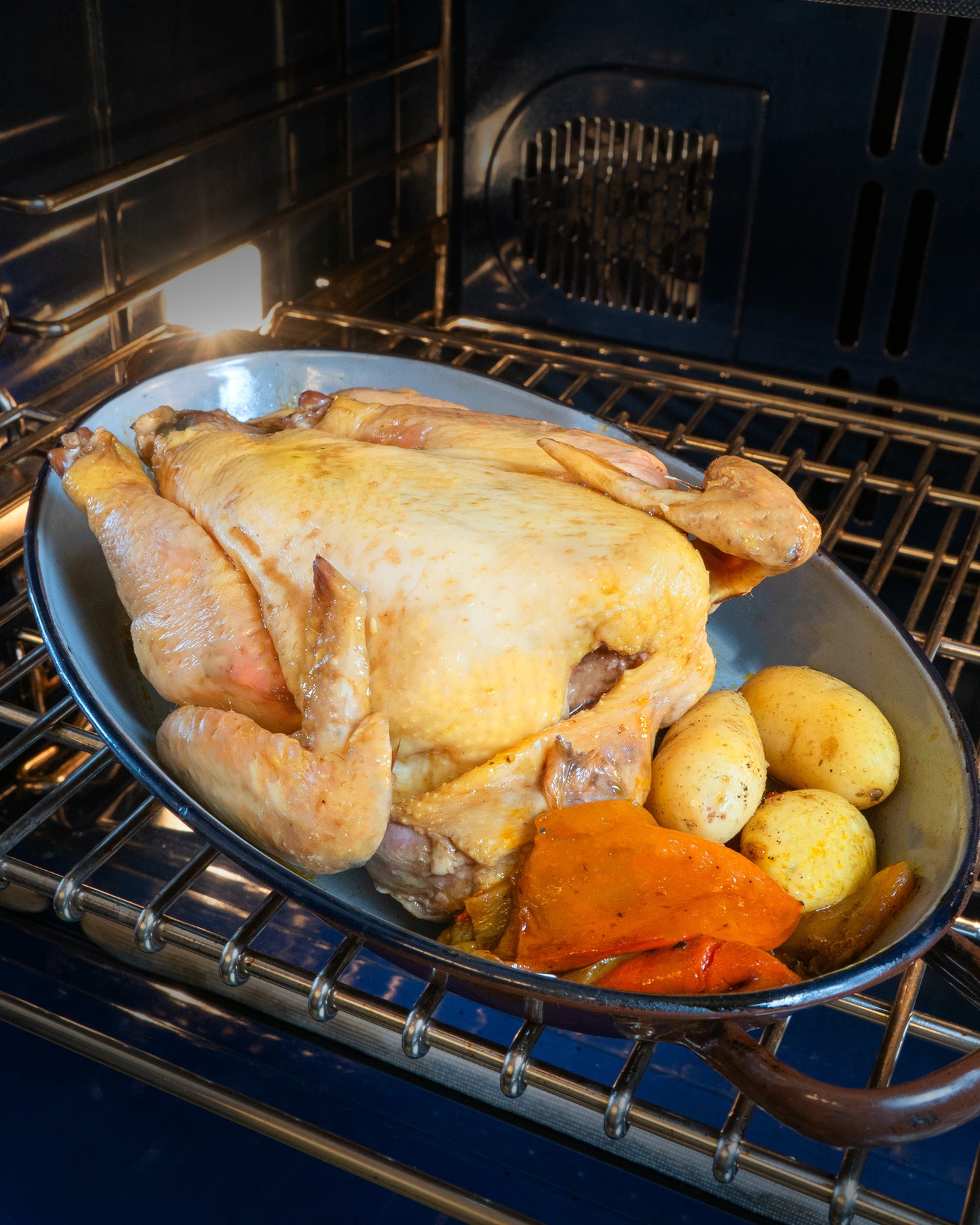 Pollo de caserío entero preasado