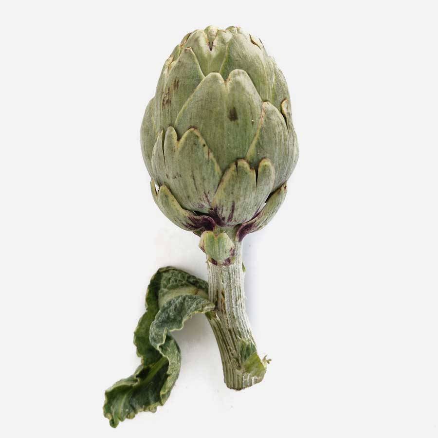 Alcachofa blanca de Tudela