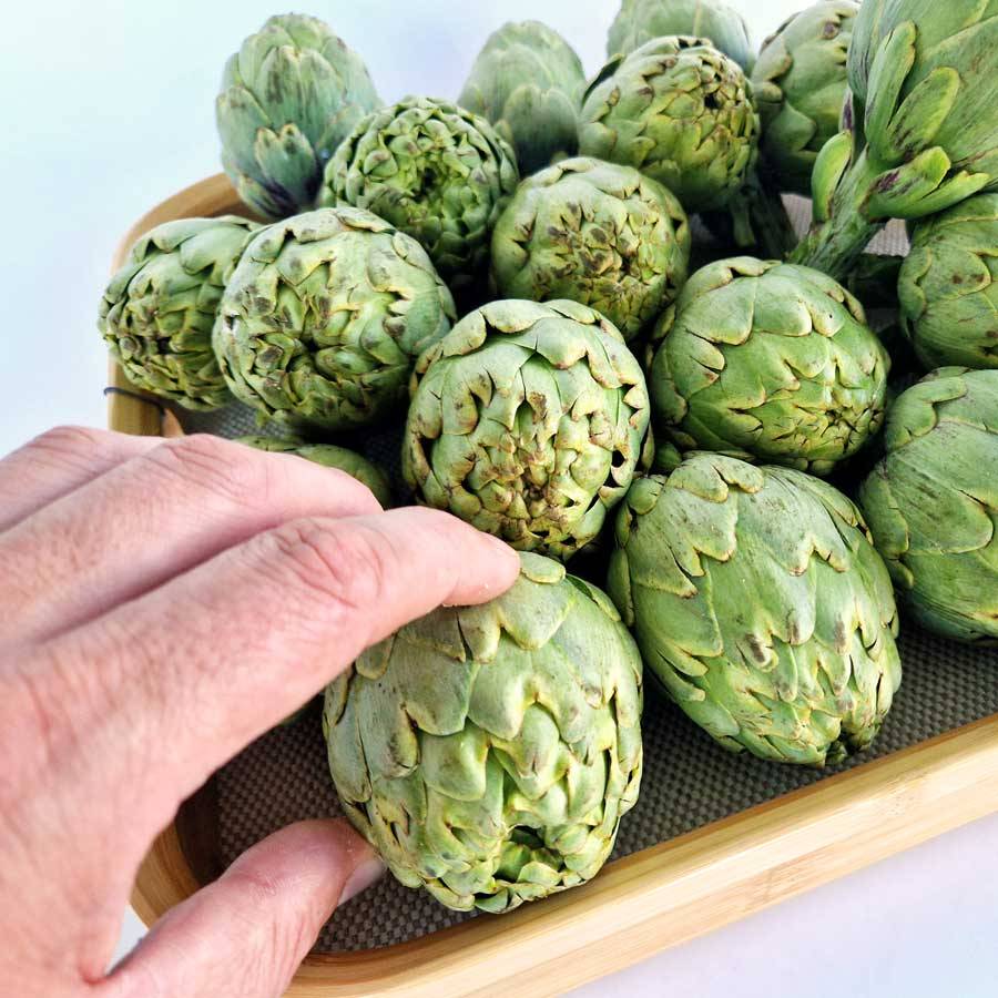 Alcachofa blanca de Tudela