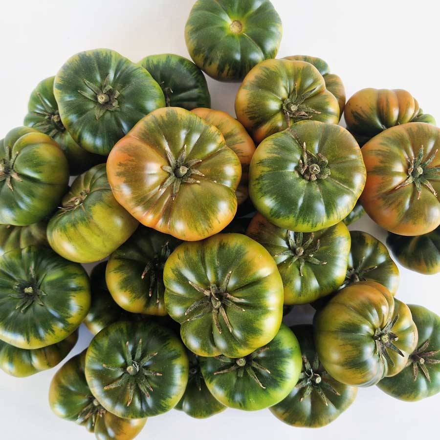 Tomate Mini RAF asurcado