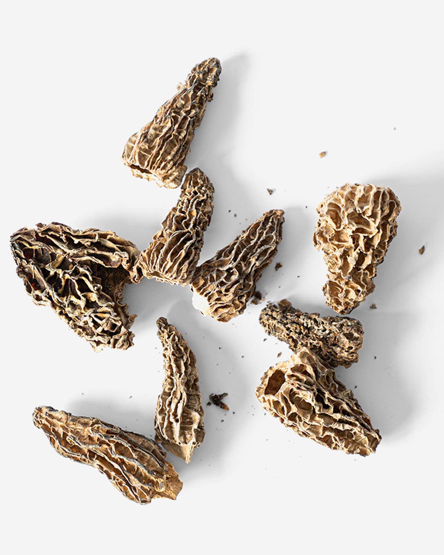 Colmenilla deshidratada 30g