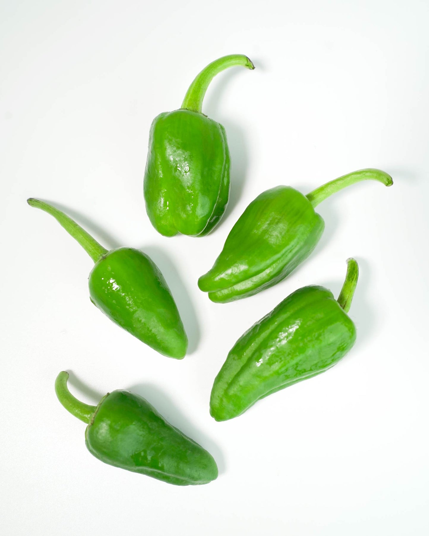 Pimientos de Herbón D.O.P 400g