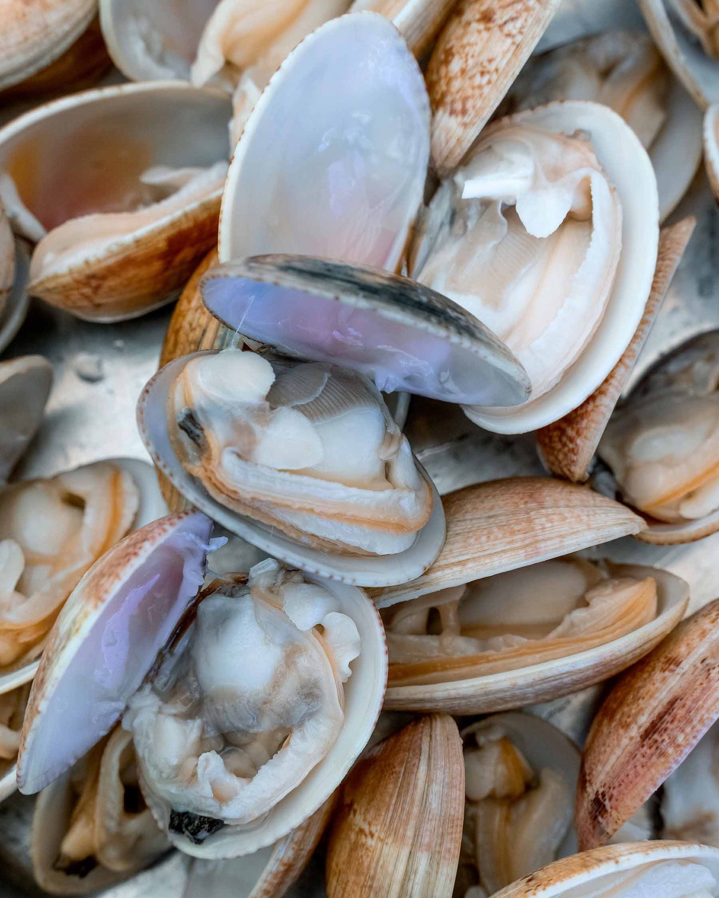 Almeja rubia cocida en su jugo 250 g