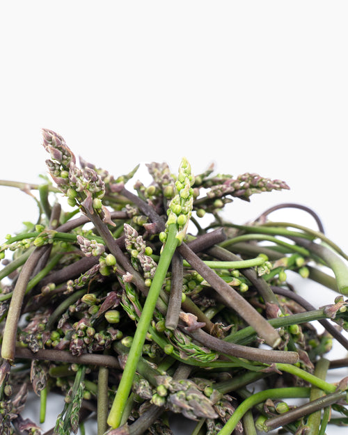 Esparraguines Asparagus Experiencie 125 g