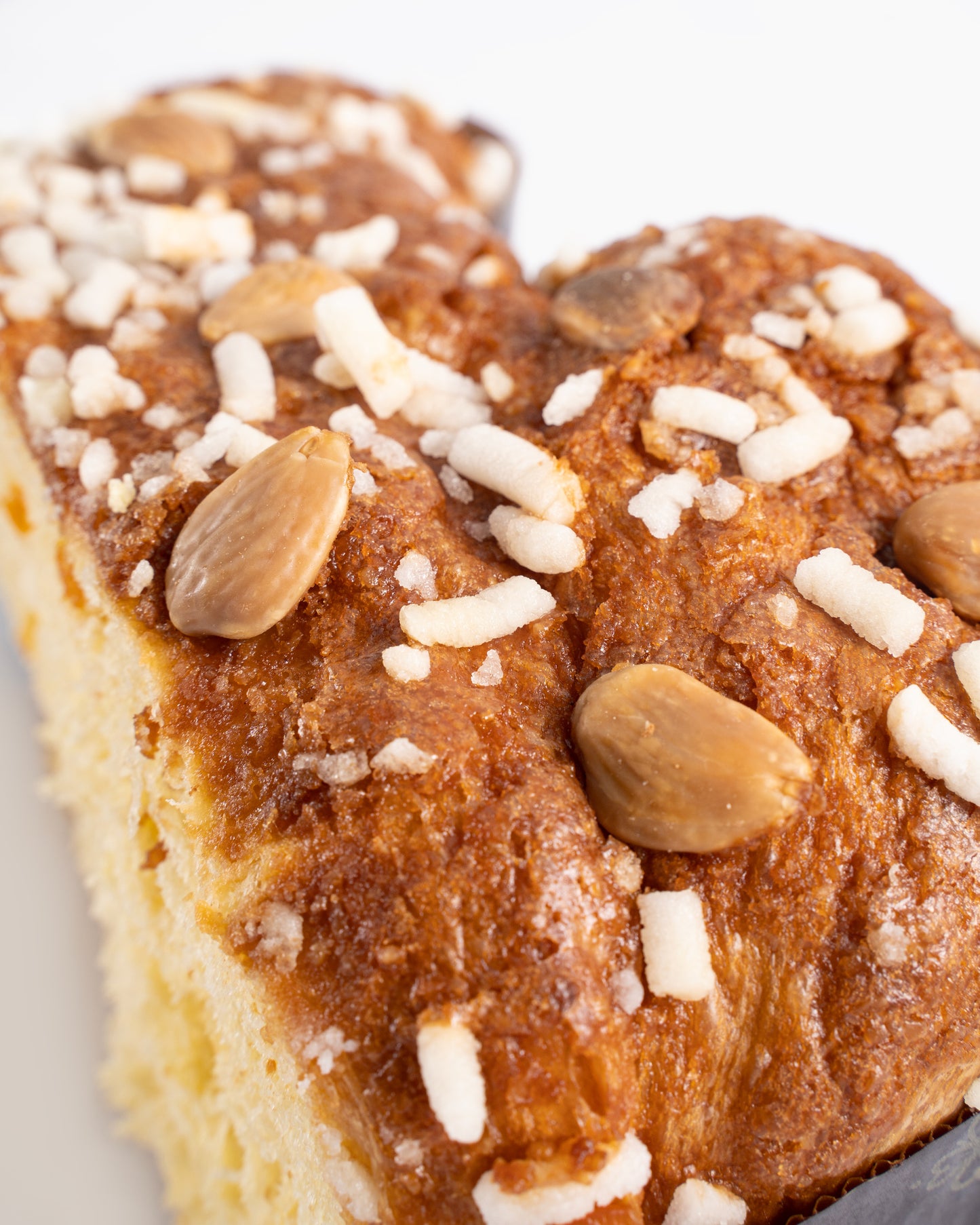 Colomba tradizionale