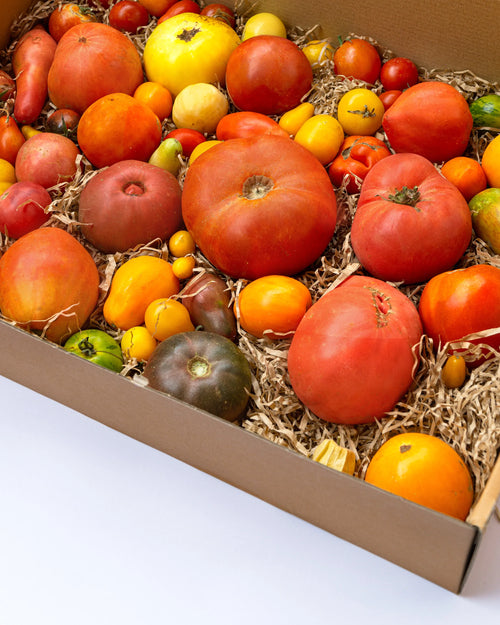 Caja de tomates especiales 2 Kg