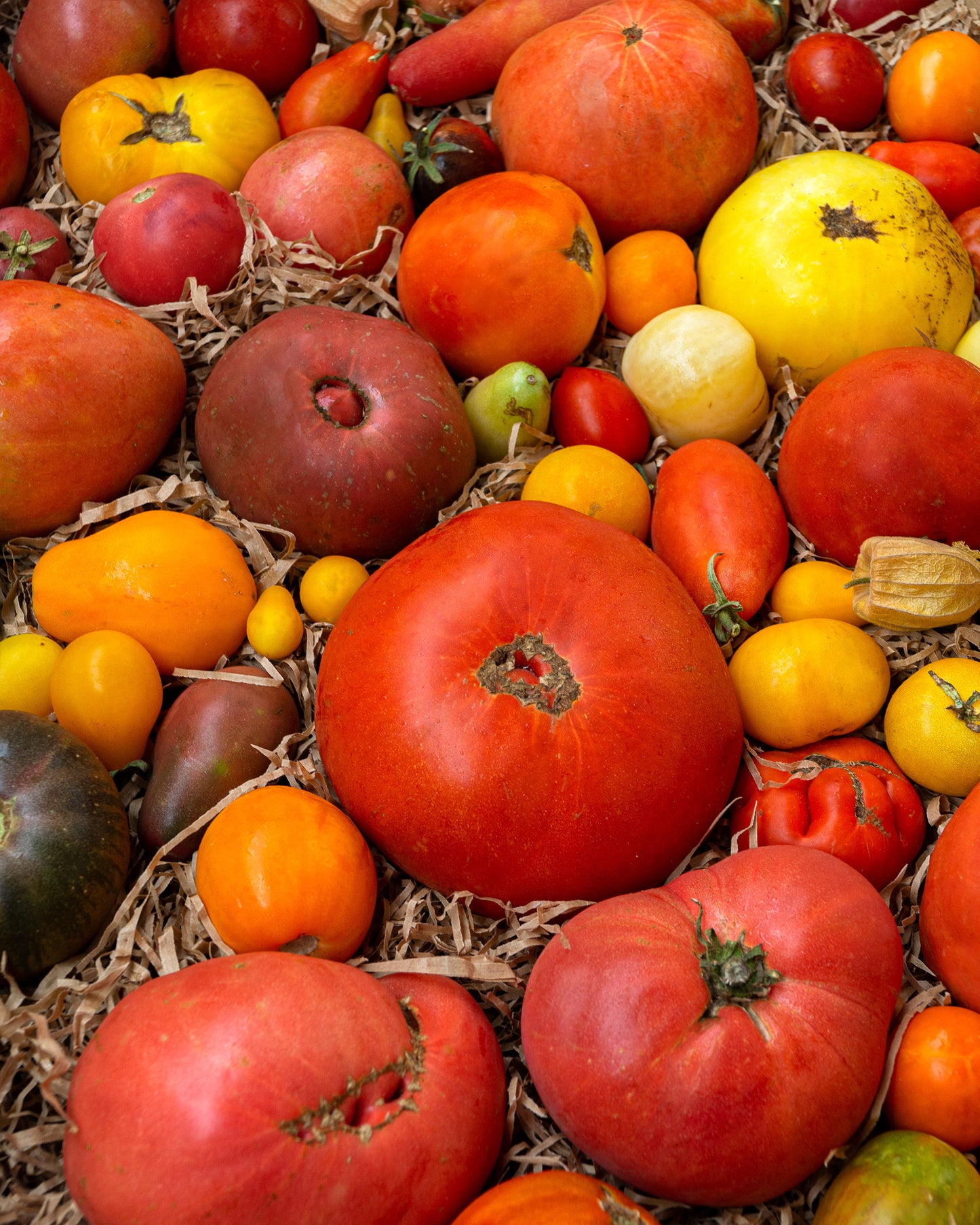 Caja de tomates especiales 4 Kg