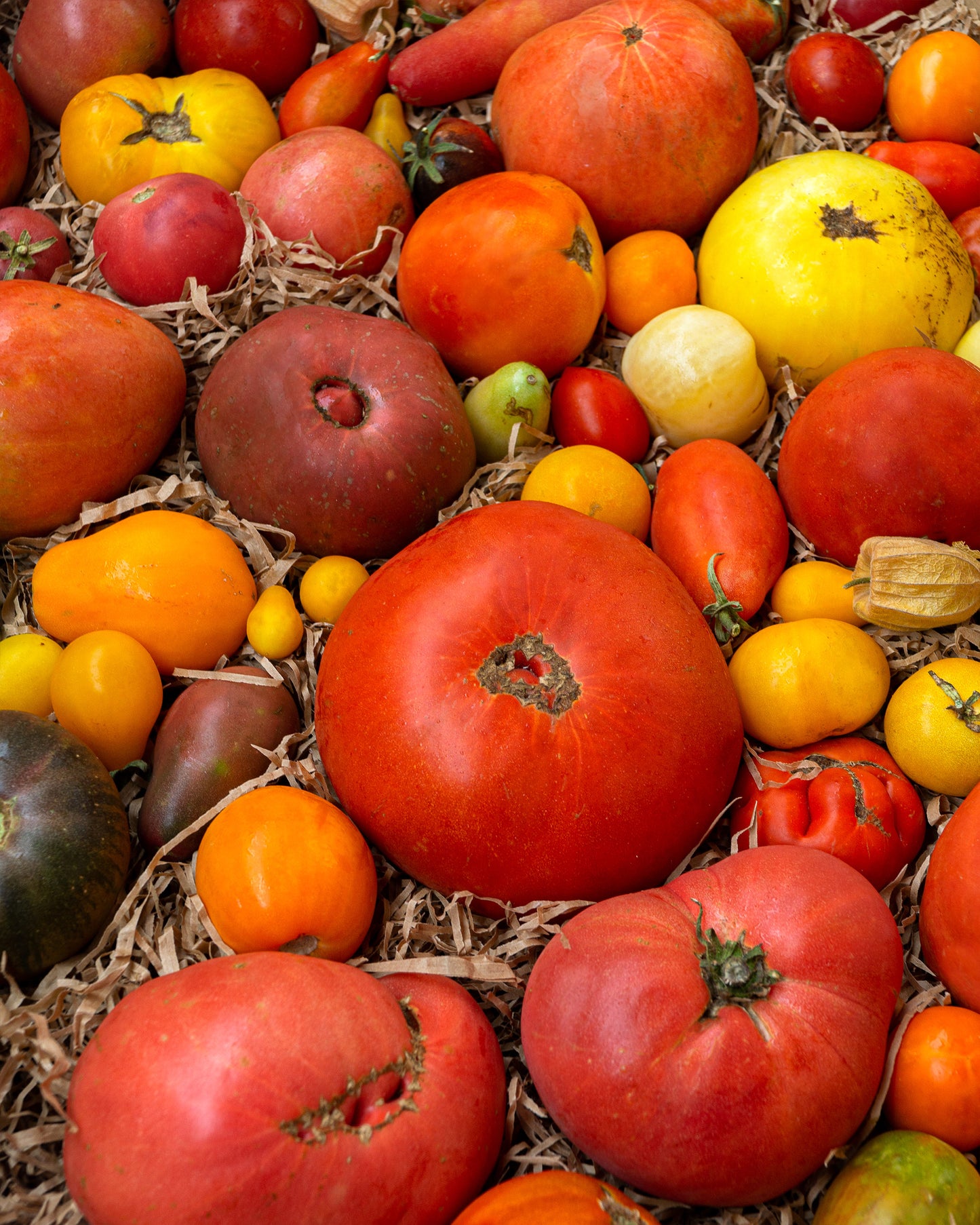 Caja de tomate de 4 kg