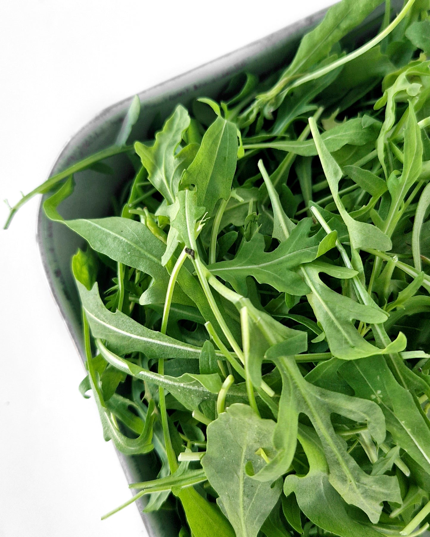 Rucula 50 g