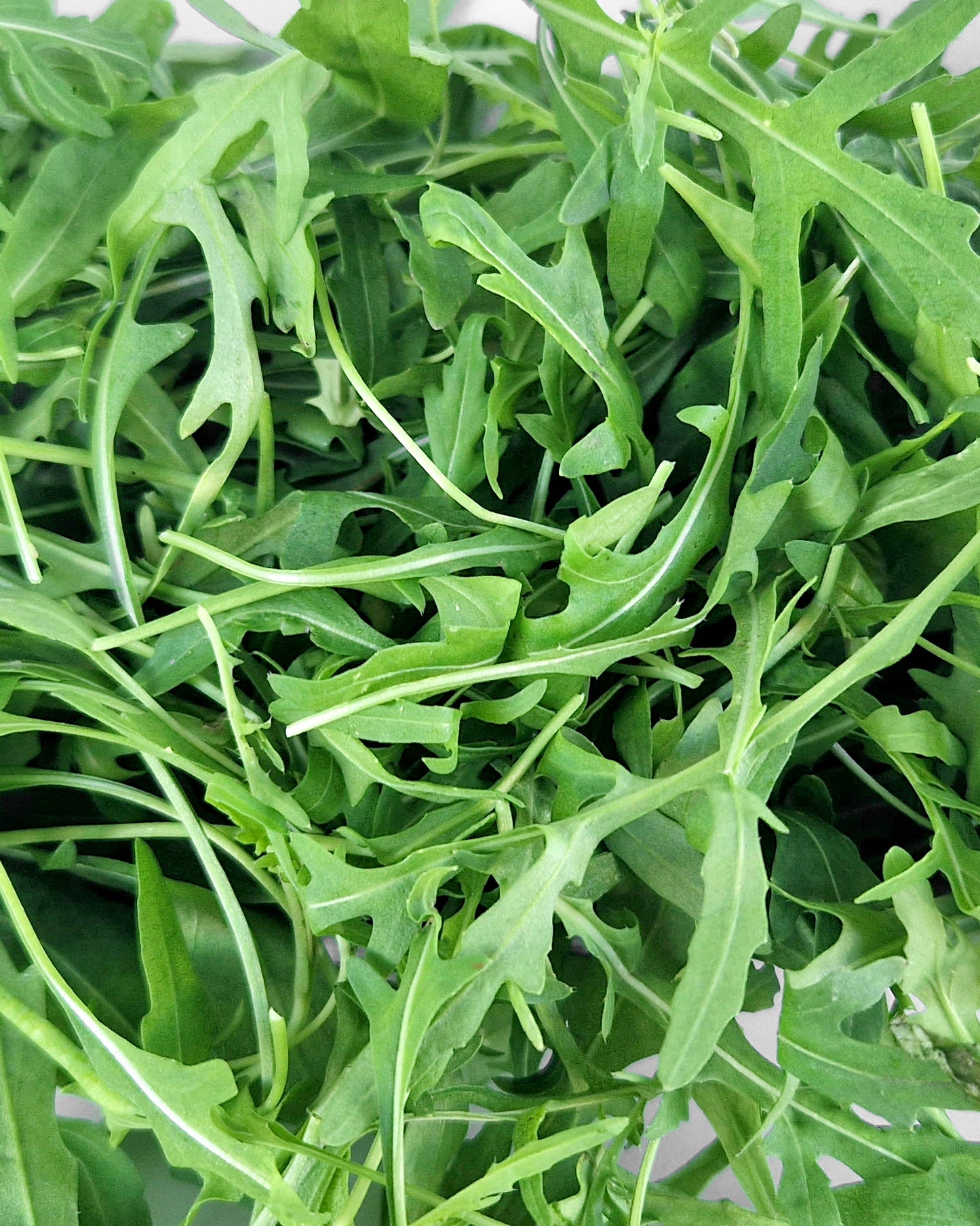 Rucula 50 g