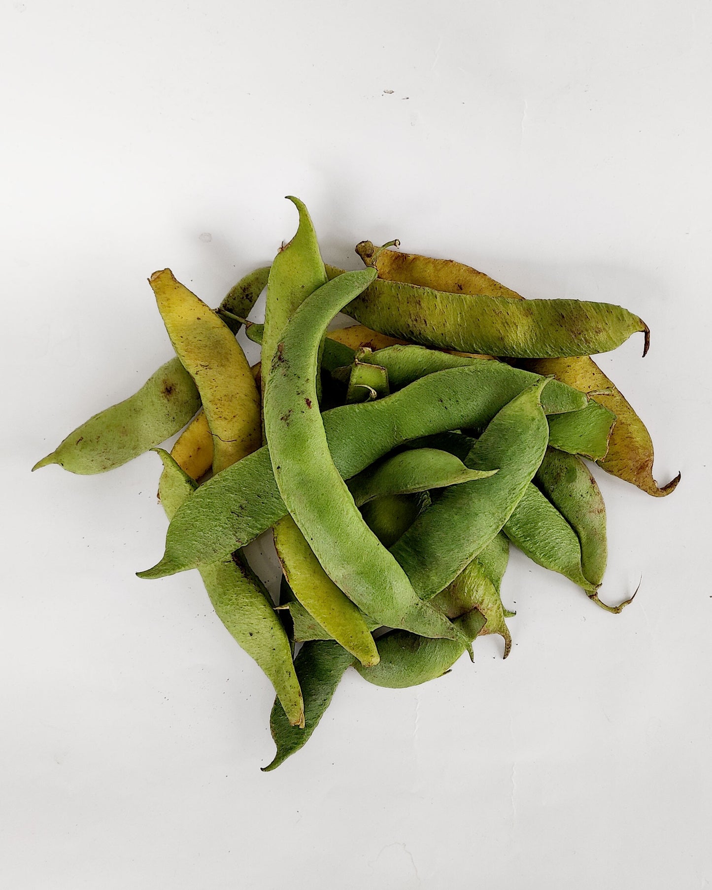 Judión fresco en verde con vaina 500 g