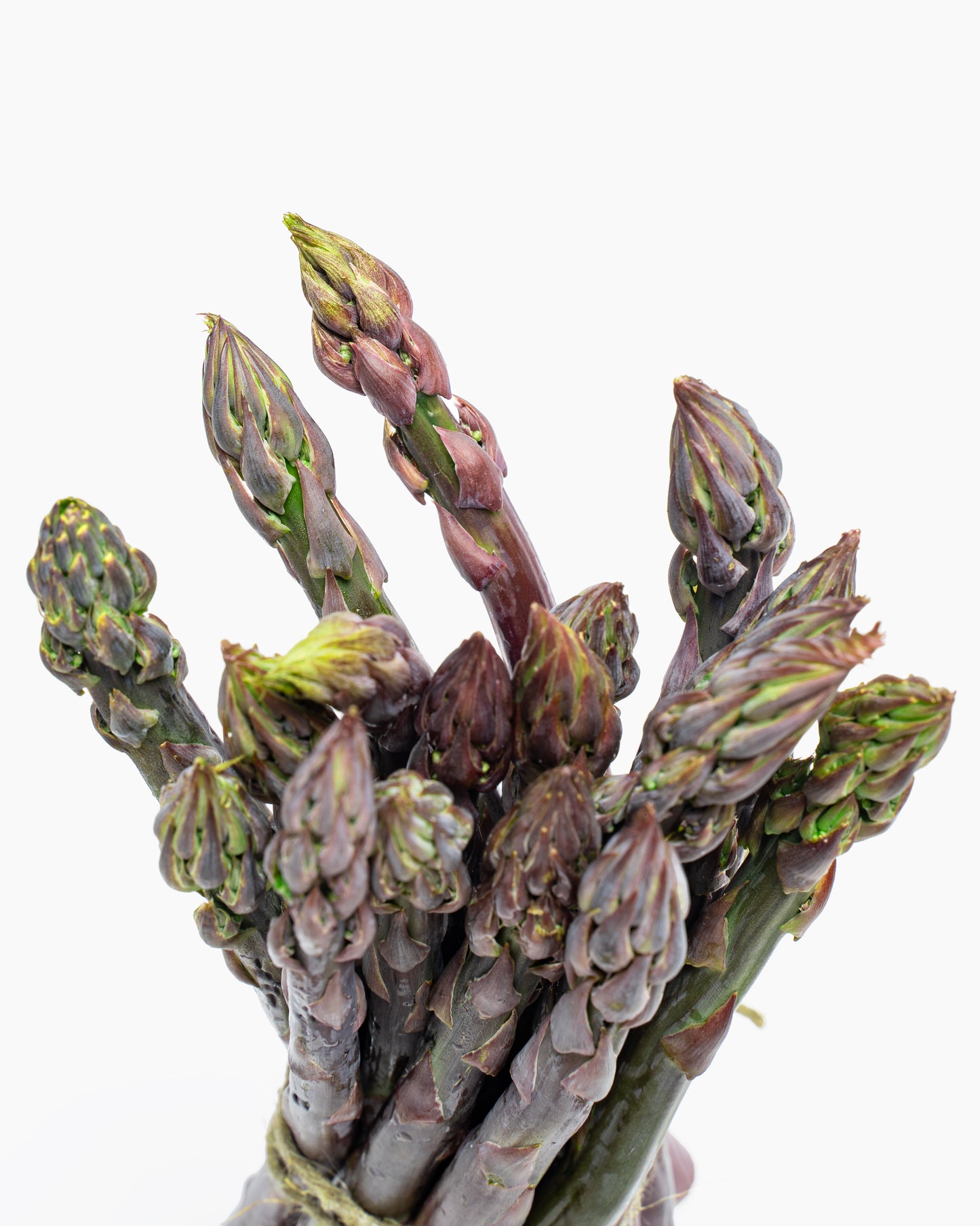 Espárragos Púrpura 500 g