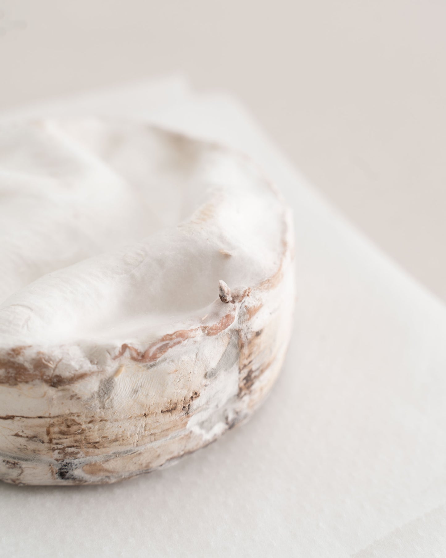 Queso Vacherin Du Mont D'or 500 g