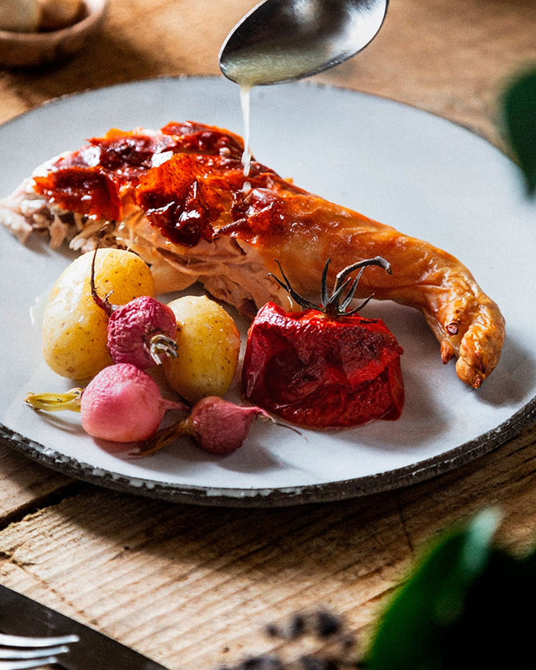 cochinillo asado