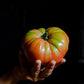 Tomate Roostiq Nº 38 2 Kg