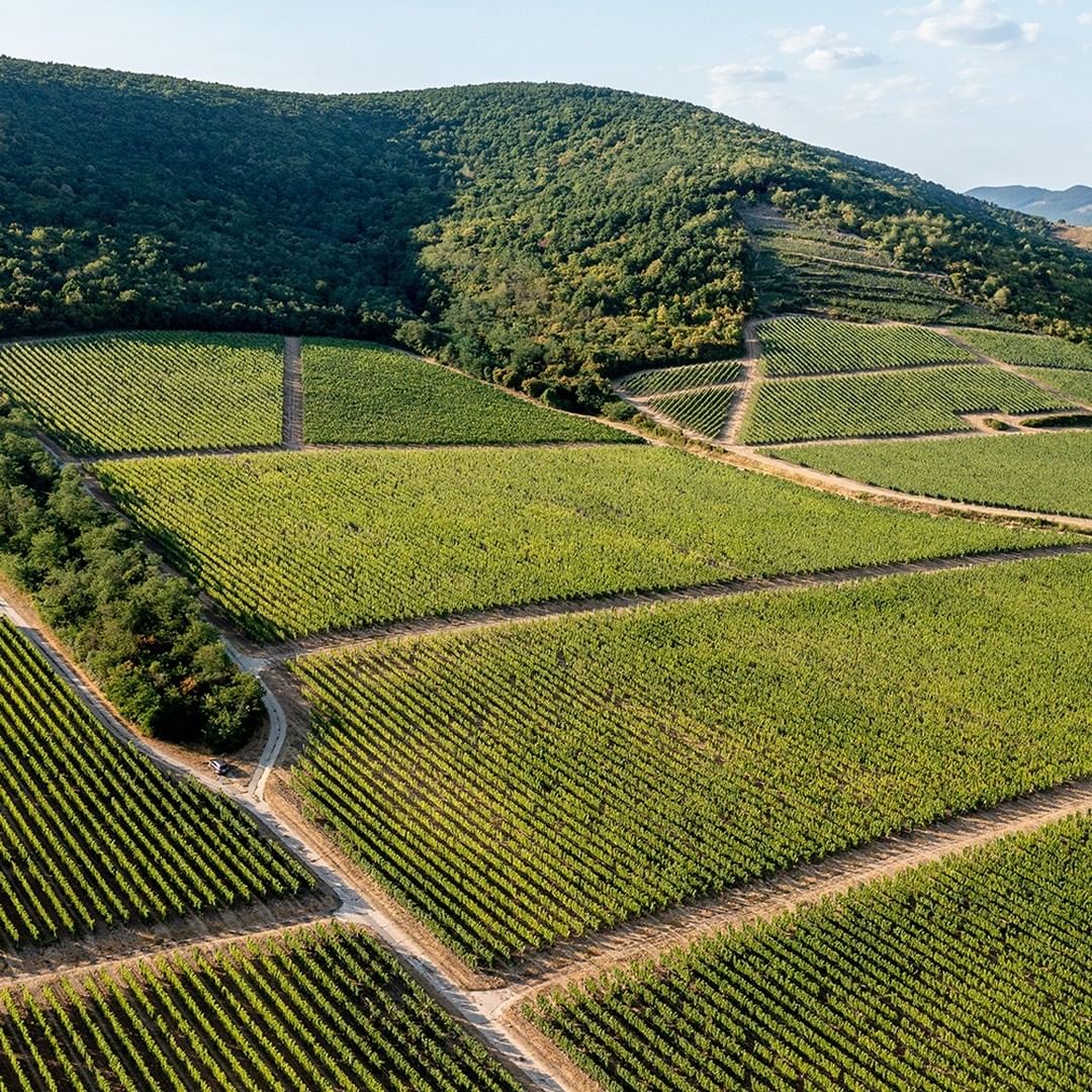  gid://shopify/MediaImage/68899520184644