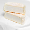 Queso láctico