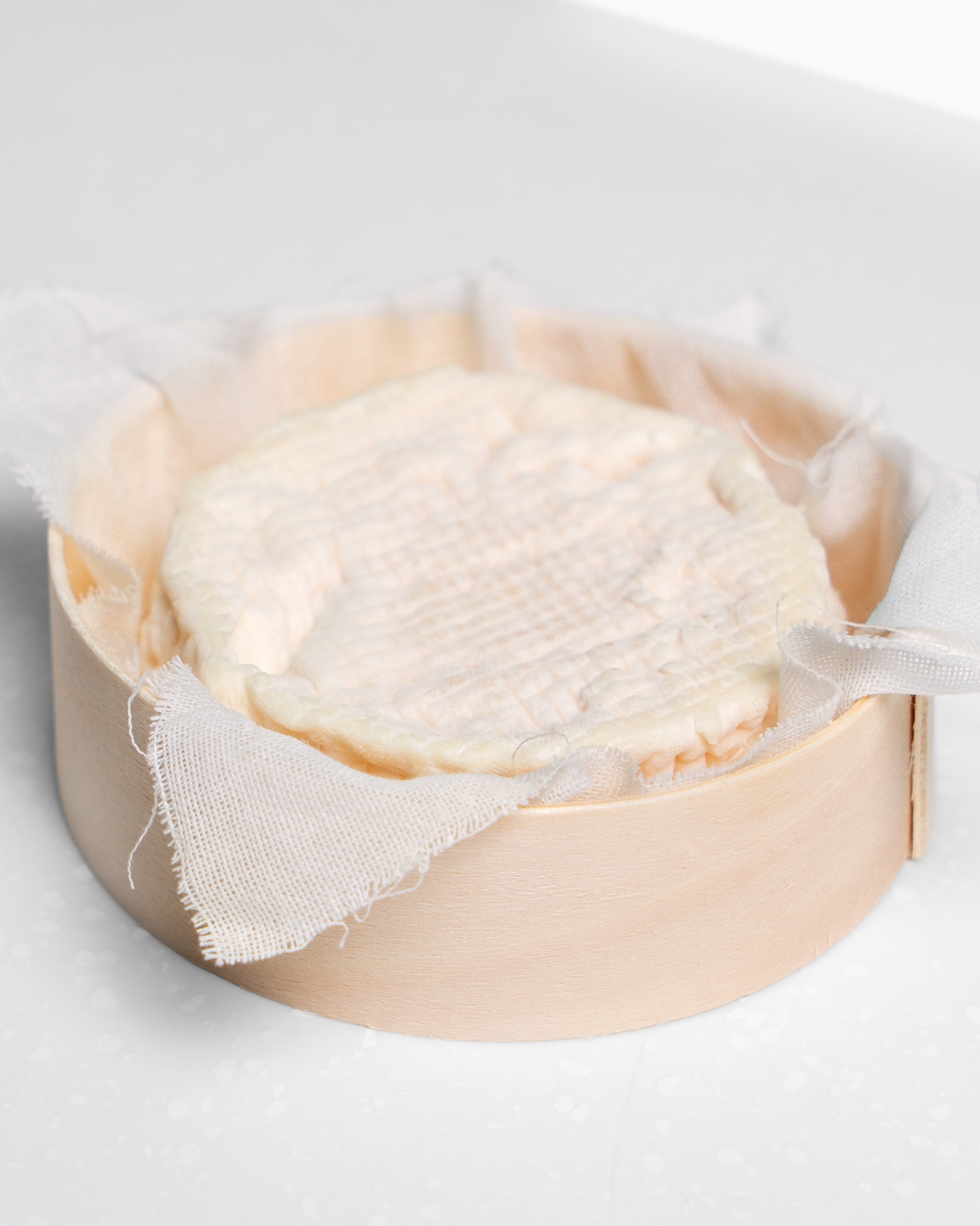 queso de oveja de coagulacion lactica