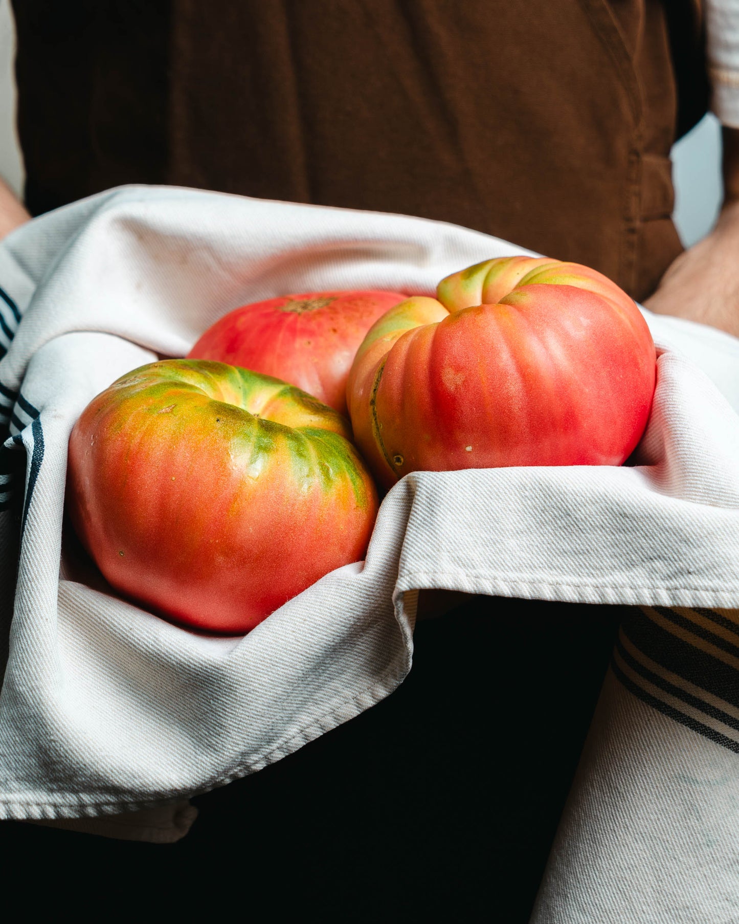 Tomate rosado premium extragrande 1,5 Kg