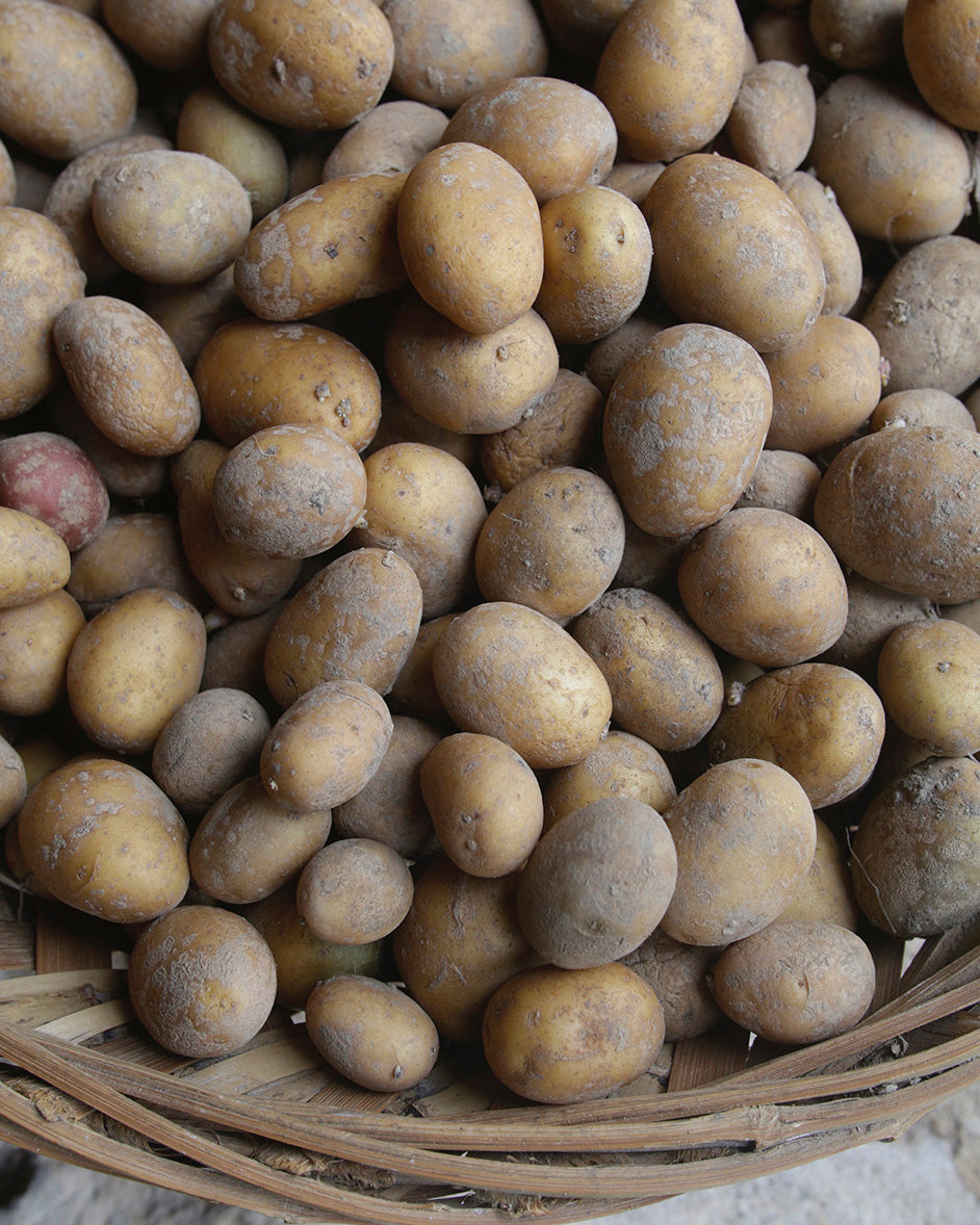 Menú Pitu guisado con patatinos