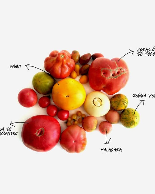 Caja de tomate de 4 kg