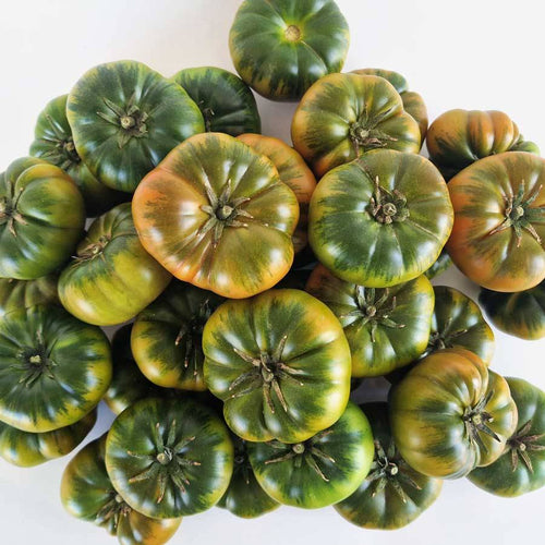 Tomate Mini RAF asurcado