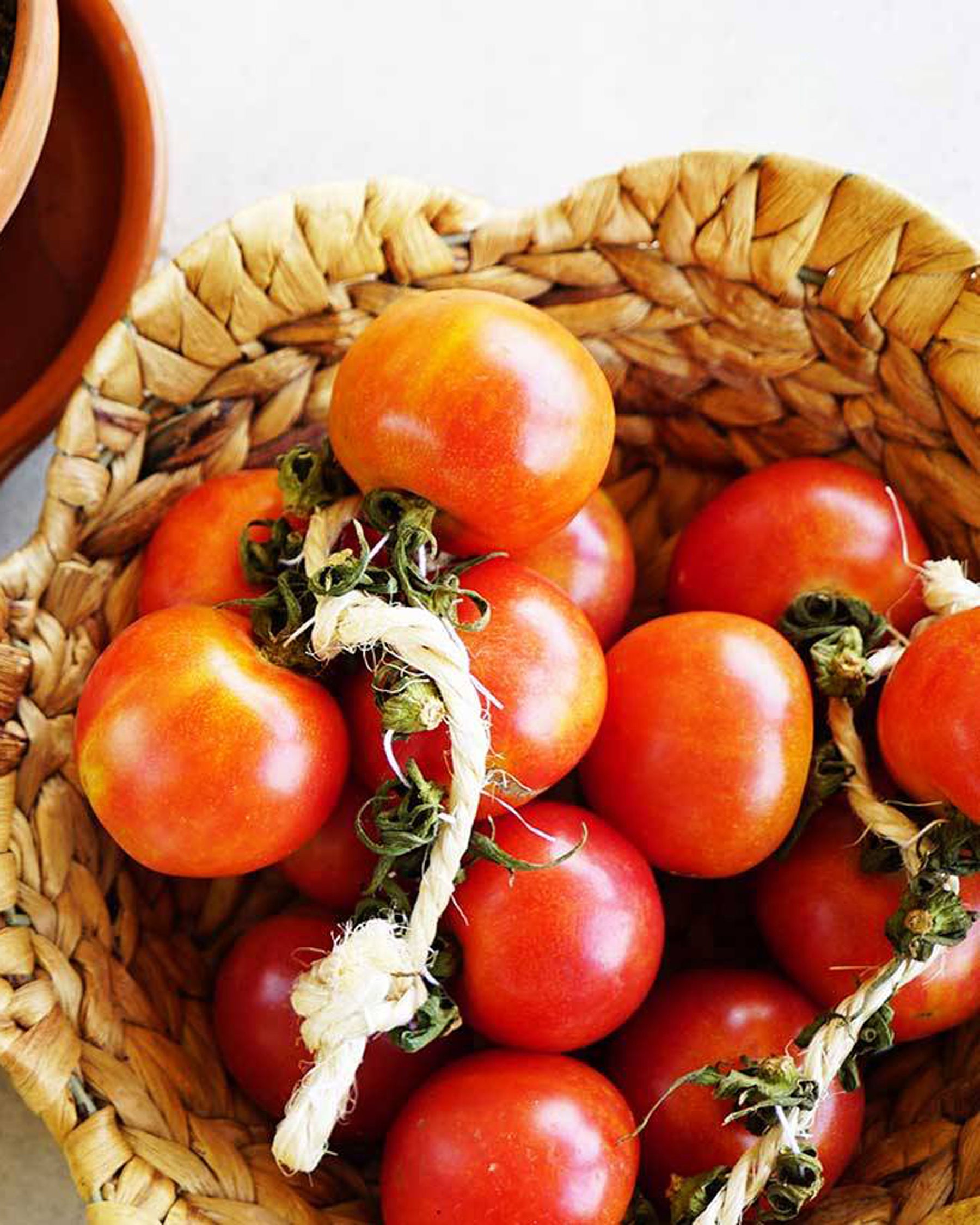 tomates de penjar ecológicos