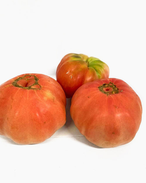 Tomate rosado premium extragrande 1,5 Kg
